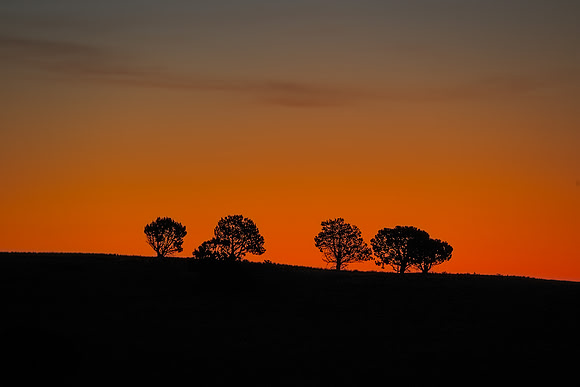 Sunrise Silhouette
