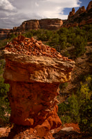 Canyon Hoodoo
