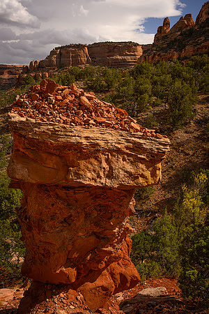 Canyon Hoodoo