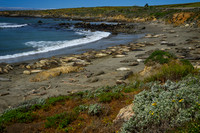 Elephant Cove