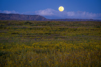 Carrizo Moon