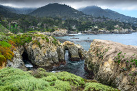 Lobos Bridges
