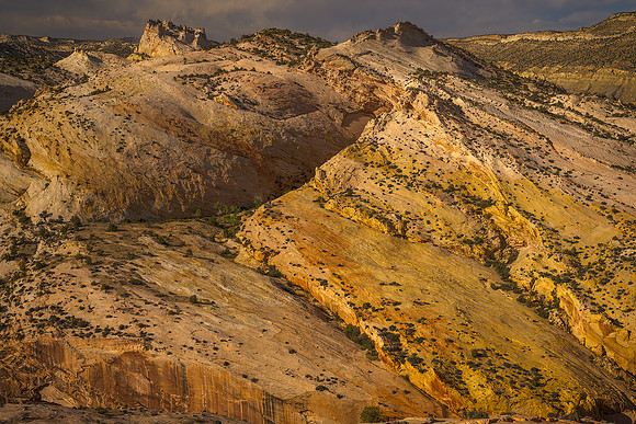 Golden Slopes