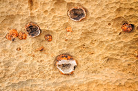 Geodes Emerge