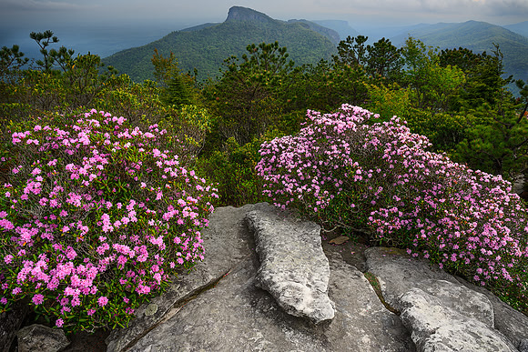 Tablerock