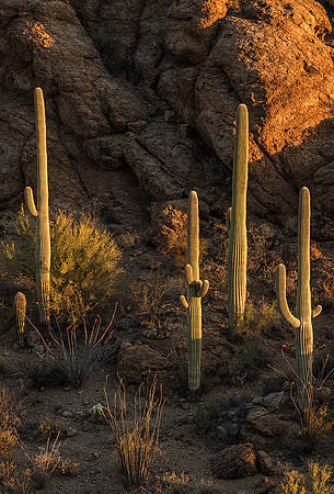 Gates Pass Sentinels