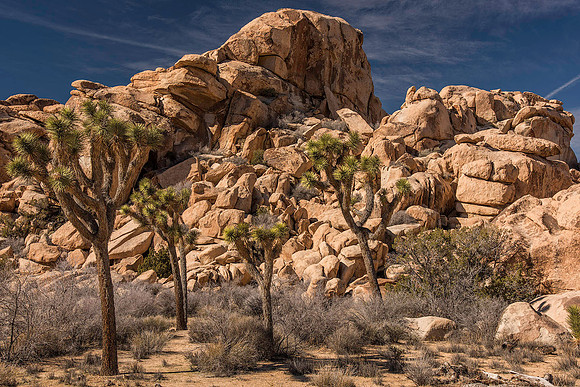 Granite Calves