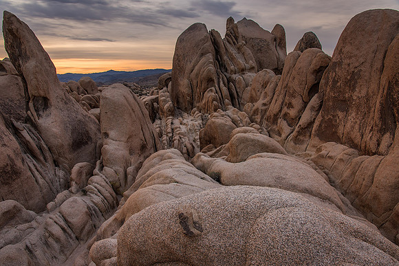 Alien Terrain