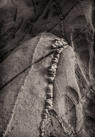 Venous & Vertebral