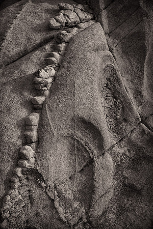 Spinal
