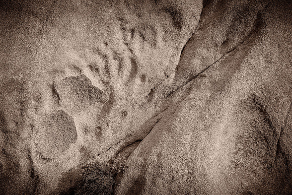 Monzo Abstract