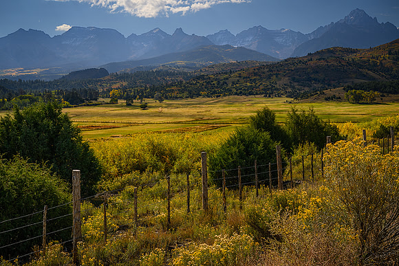 Beef Country