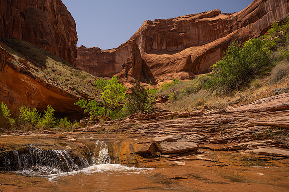 Coyote Cascade