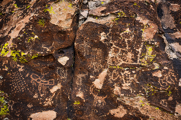 Lichen Glyphs