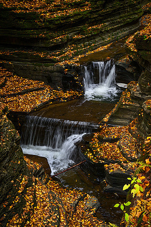 Watkins Glen State Park Gorge Trail