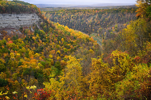 Letchworth State Park - Archery Field Overlook