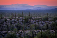Foothills Evening