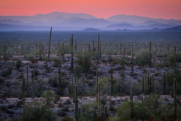 Foothills Evening