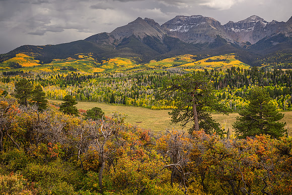 Teakettle Vista