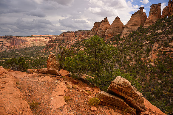 Trail View
