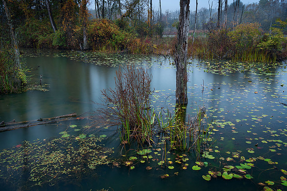 Drowned