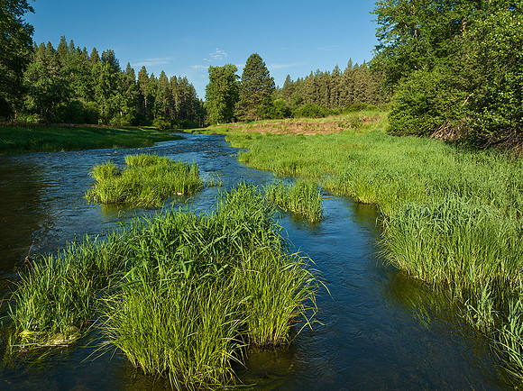 Palouse River, Altergott Rd