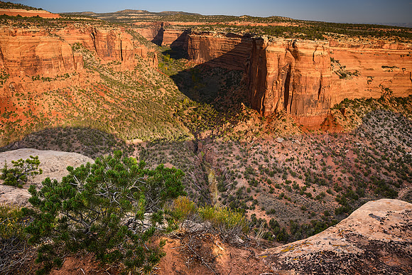 North Ute