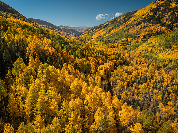 Valley of Gold