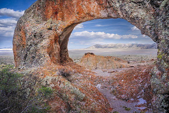Arch View