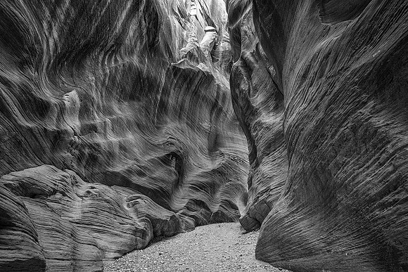 Willis Creek