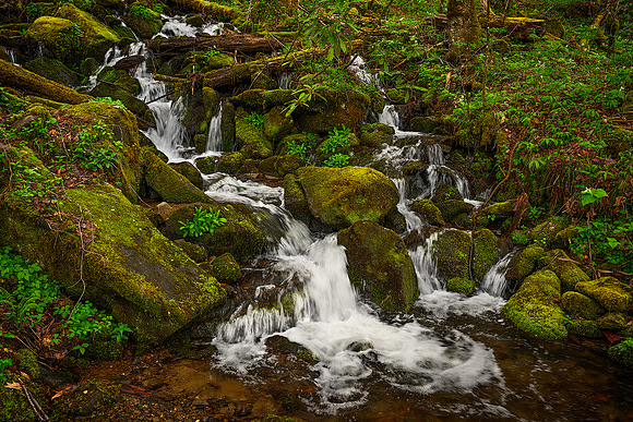 Jeweled Cascade