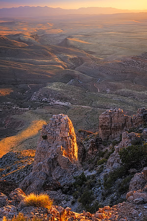 Golden Glow