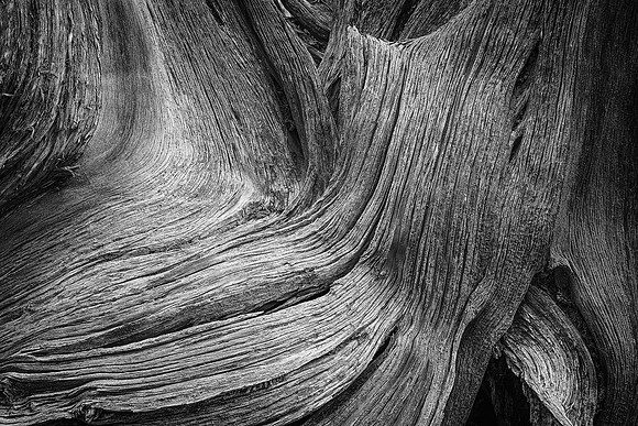 Juniper Twist