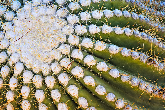 Radiating Ridges