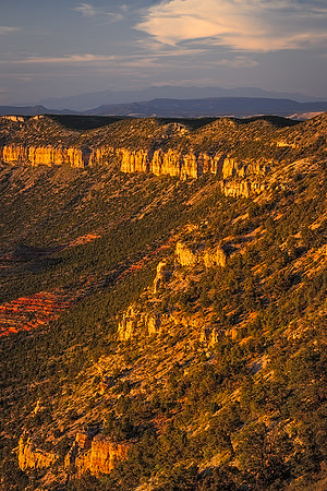 Golden Cliffs