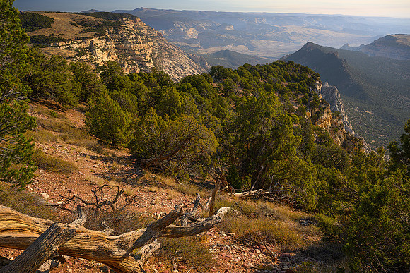 Harpers Canyon Rd - Iron Springs Bench Overlook