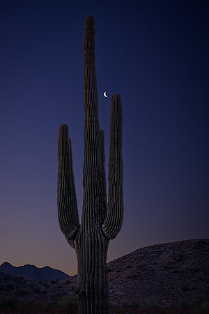 Moon Shot