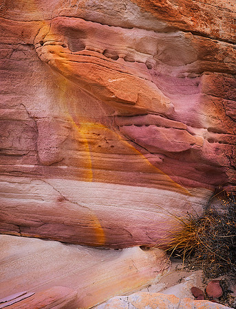 Natural Grafitti