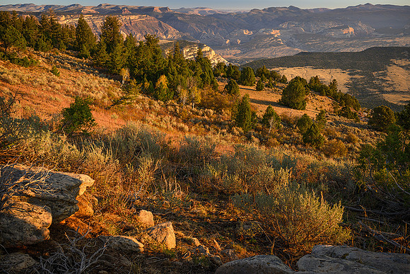 Canyon Overlook