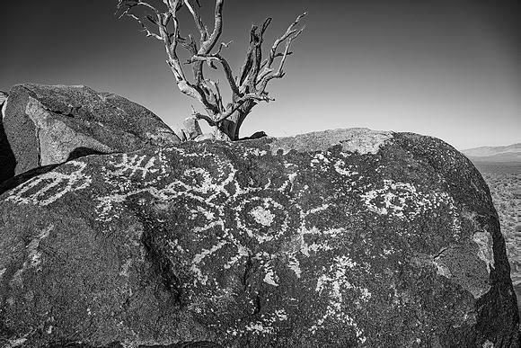 Bell Rock