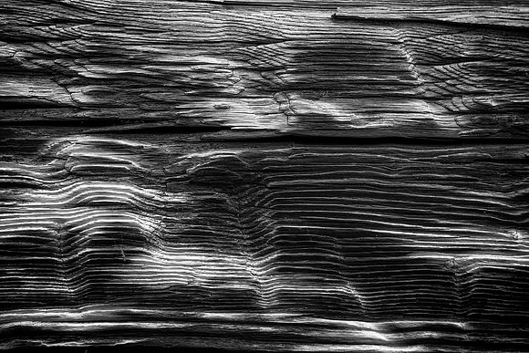 Wood Waves
